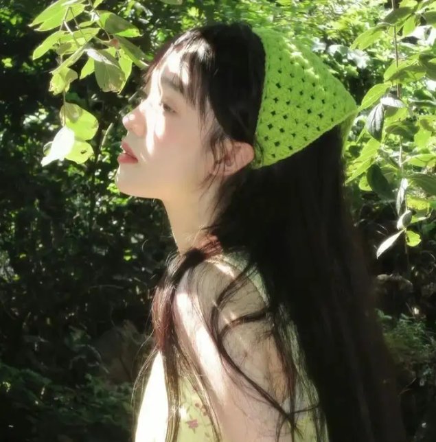 哈吉布基的森林冒险